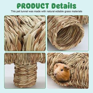 BWOGUE Hamster Grass Tunnel Toy Nature's Hideaway Guinea Pig Tunnels and Tubes Toys for Rats,Syrian Hamster,Ferrets,Guinea Pig,Chinchilla Hedgehog and Bunny