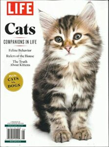 life magazine, cats vs dogs * cats companion in life special issue, 2019