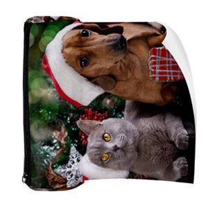 British Kitten and Dog Dachshund Pencil Bag Pen Case Stationary Case Pencil Pouch Desk Organizer Makeup Cosmetic Bag for School Office