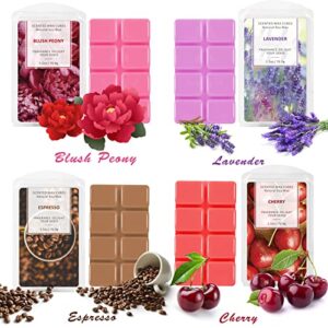 LA BELLEFÉE Wax Melts Wax Cubes, Soy Wax Candle Melts, Decoration Lavender, Fresh Linen, Winds in Summer, Sea Breeze, Raspberry&Cinnamon, Espresso, Cherry