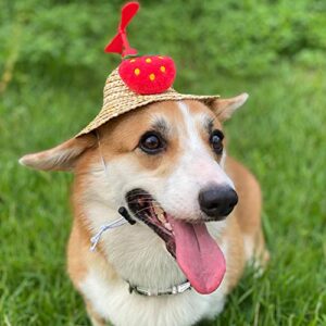 La La Pet® Adjustable Cute Mini Pet Sombrero Dog Straw Hat Cat Woven Hat Puppy Sun Bucket Cap for Small Dogs Puppy Cats Supplies (Strawberry,L)