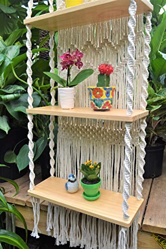 Macrame Wall Hanging Shelf-ideal décor-plants storage bookshelf-Bohemian Decorative Shelves-Boho Floating Indoor Shelving–For bedroom kitchen bathroom room with window Plant hanger 3 Tier Diamond