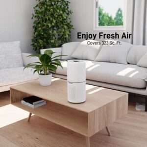 Absolute Living UV Air Purifier With HEPA Filter H13 and Auto Detect - (CARB) Compliant, Traps 99.97%, PM2.5 - Air Purifier for Large Room Up To 323 sqft - 3 Stage True HEPA Air Purifier With UV Light