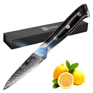 ddauosg paring knif 3.5 inch japanese vg10 super steel 67 layer high carbon stainless damascus steel peeling utility knives