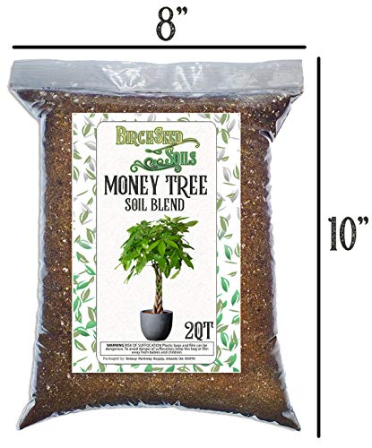Money Tree Soil Blend All Natural Soil Mixture Formulated for Repotting and Planting Money Tree Plants 2 Quart Sized Bag