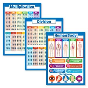 palace learning 3 pack - multiplication tables poster + division + human body chart for kids (laminated, 18" x 24")