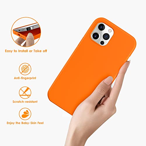 DTTO Compatible with iPhone 12/12 Pro Case Shockproof Silicone [Romance Series] Cover [Enhanced Camera and Screen Protection] with Honeycomb Grid Cushion for iPhone 12 6.1” 2020,Orange