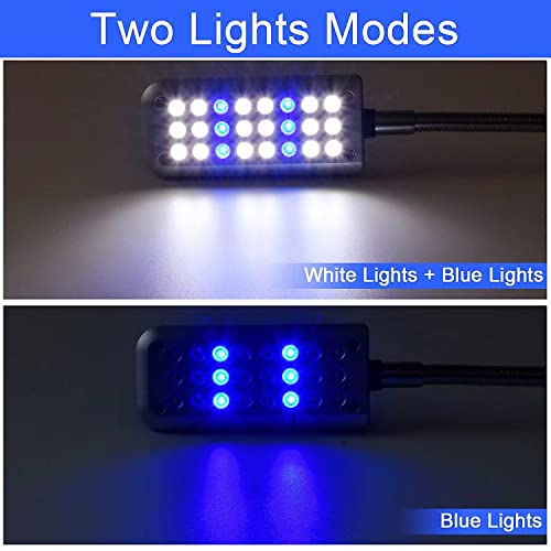 Goehiaul Aquarium Light Clip on Fish Tank Lighting Small Fish Light for Rimless Fish Tanks, White and Blue LEDs