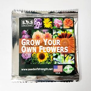 Rare 500 Pcs Mixed Zinnia - California Giant Flower Seeds Bonsai Decoration-Non GMO