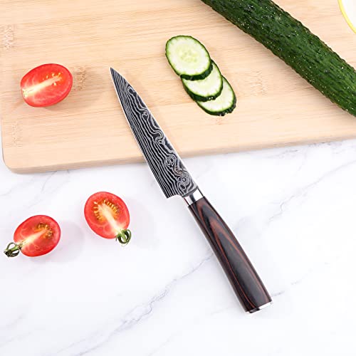 Utility Knife 5 inch - Kitchen Utility Knife Forged from Stainless Steel 5Cr15Mov(HRC56), Razor Sharp Paring Knife with Ergonomic Handle for Home, Multipurpose Kitchen Utility Knife