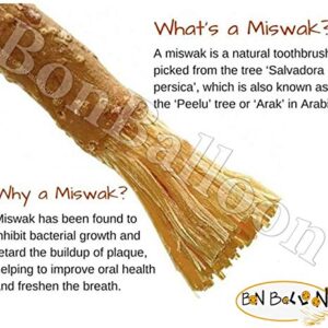 30 Pcs Al Falah Siwak Meswak Miswak Miswak Arak Peelu Al Falah Chewing Stick With Natural Flavor Organic Herbal Toothbrush Vacuum Sealed Breath Freshener Thirty Tooth Sticks Plus 1oz / 28 gm Cloves