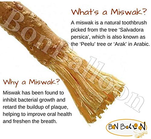 30 Pcs Al Falah Siwak Meswak Miswak Miswak Arak Peelu Al Falah Chewing Stick With Natural Flavor Organic Herbal Toothbrush Vacuum Sealed Breath Freshener Thirty Tooth Sticks Plus 1oz / 28 gm Cloves