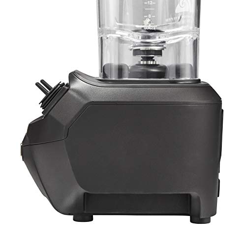 Hamilton Beach Commercial Rio Bar Blender, 1.6 HP, Black (HBB255)