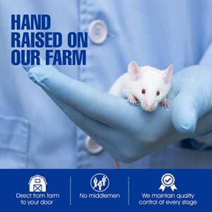 MiceDirect Frozen Rat Combo Pack–1 Rat Large & 1 Rat Jumbo Food for Corn Snakes, Ball Pythons