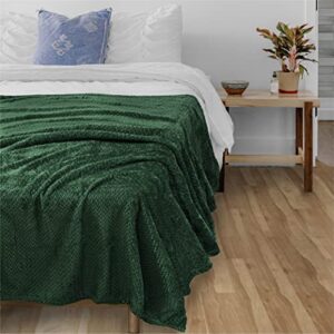 PAVILIA Soft Flannel Fleece Blanket Throw Emerald Green, Textured Decorative Velvet Blanket for Couch Sofa Bed, Fuzzy Plush Cozy Warm Lightweight Microfiber Throw, Jacquard Weave Leaves Pattern 50x60