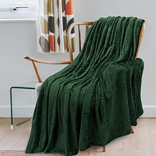 PAVILIA Soft Flannel Fleece Blanket Throw Emerald Green, Textured Decorative Velvet Blanket for Couch Sofa Bed, Fuzzy Plush Cozy Warm Lightweight Microfiber Throw, Jacquard Weave Leaves Pattern 50x60