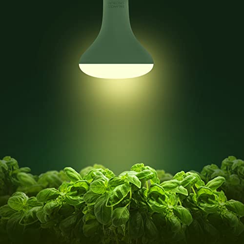 LED Grow Light Bulb, Briignite BR30 Grow Light Bulbs, Full Spectrum Grow Light Bulb 12W, 120W Equivalent, Plant Light Bulbs E26 Base, Grow Light for Indoor Plants, Seedlings, Greenhouse, Hydroponic