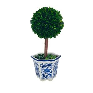 galt international preserved boxwood topiary tree in blue & white ceramic pot - plant and table centerpiece - stunning greenery and plant decor for home 5.9" diameter topiary 14" tall