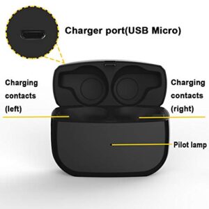 Lopnord Charging Case Compatible with Jabra Elite Active 65t / Elite 65t, Replacement Charger Case Only, Earbuds Protective Substitute Cover(Earbuds not Included) (Black)