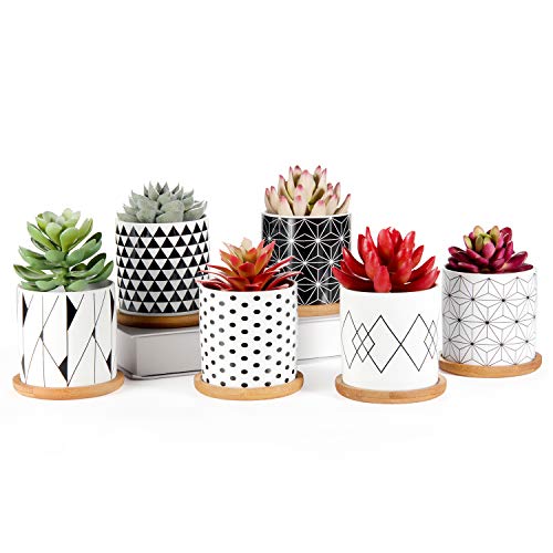 Succulent Pots 6 Pack, Laerjin 3 Inch Succulent Planters with Drainage and Bamboo Tray, Geometric Patterns Ceramic Small Pots for Baby Plants, Cactus, Herbs- Plants Not Included