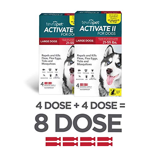 TevraPet Activate II Flea and Tick Prevention for Dogs | Large Dogs 21-55 lbs | Fast Acting Flea Drops | 8 Month Supply | Vet Quality Protection