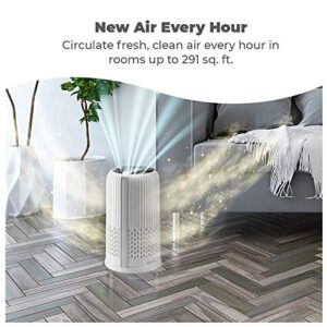 HoMedics TotalClean 4-in-1 Tower Air Purifier, 360-Degree HEPA Filtration for Allergens, Dust and Dander with Ionizer for Home, Office and Desktop, Night-Light and Essential Oil Aromatherapy (White)