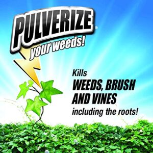 Pulverize PWBV-UT-128, Brush & Vine Ready to Use Weed Killer, Clear