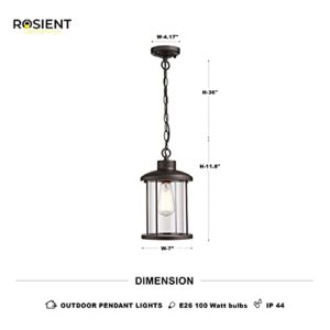 Rosient Outdoor Pendant Light, 1-Light Exterior Hanging Lantern Light Fixtures, Hanging Sconces Porch Lights with Oil Rubbed Bronze Finish