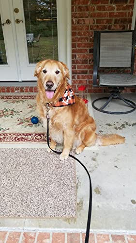 Halloween Dog Bandana -Orange Plaid Pet Scarf