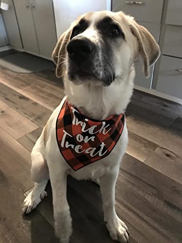 Halloween Dog Bandana -Orange Plaid Pet Scarf