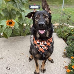 Halloween Dog Bandana -Orange Plaid Pet Scarf