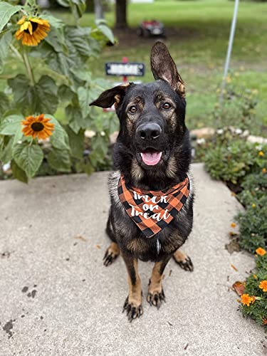 Halloween Dog Bandana -Orange Plaid Pet Scarf