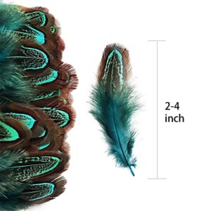 50 pcs Natural Pheasant Plumage Feathers 2-3 Inches Plumage Feathers for Sewing Crafts Clothing Decorating Accessories -Blue