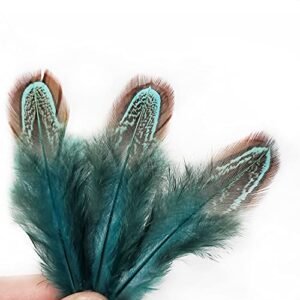 50 pcs Natural Pheasant Plumage Feathers 2-3 Inches Plumage Feathers for Sewing Crafts Clothing Decorating Accessories -Blue