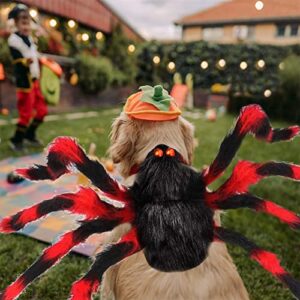 Chngeary Halloween Cats Dogs Costume - Dog Spider Costume,Festival Pet Accessories Dress up Furry Costume for Cat,Small and Medium Dog - Dressed as A Black Red Giant Spider…