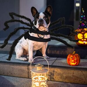 Chngeary Halloween Cats Dogs Costume - Dog Spider Costume,Festival Pet Accessories Dress up Furry Costume for Cat,Small and Medium Dog - Dressed as A Black Red Giant Spider…