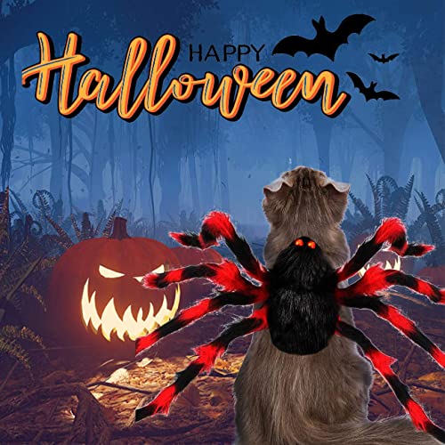 Chngeary Halloween Cats Dogs Costume - Dog Spider Costume,Festival Pet Accessories Dress up Furry Costume for Cat,Small and Medium Dog - Dressed as A Black Red Giant Spider…