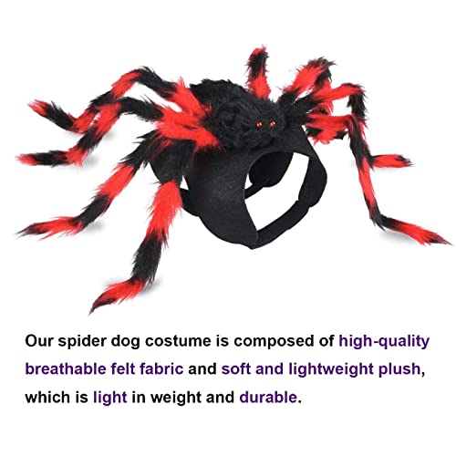 Chngeary Halloween Cats Dogs Costume - Dog Spider Costume,Festival Pet Accessories Dress up Furry Costume for Cat,Small and Medium Dog - Dressed as A Black Red Giant Spider…