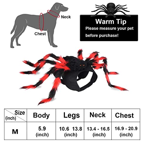 Chngeary Halloween Cats Dogs Costume - Dog Spider Costume,Festival Pet Accessories Dress up Furry Costume for Cat,Small and Medium Dog - Dressed as A Black Red Giant Spider…