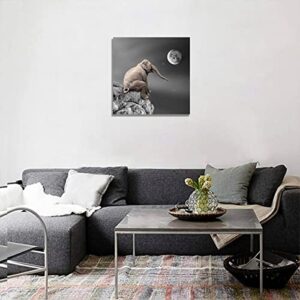 Elephant Canvas Wall Art for Living Room Wall Decor with Frame Baby Elephant Sitting on Big Rock in Front of Moon and Stars Wall Painting Aesthetic Black White Animal Home Decoration Artwork Cute Picture 12×12inch