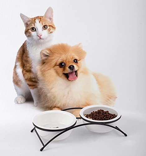 KitchenLeStar Cat Bowls,Cat Food Bowls Set,Ceramic Elevated Pet Dishes Bowls with Stand,12 oz Cats and Small Dogs Bowls,Dishwasher Safe.