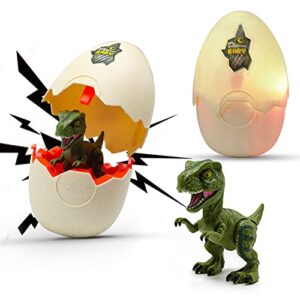 wekity hatching eggs dinosaur toys,dinosaur eggs hatch with realistic dinosaur action figure,led light and sound,creative educational toy party favor xmas easter birthday gift for kid (tyrannosaurus)