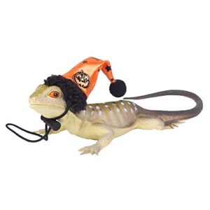 ADOGGYGO Halloween Bearded Dragon Lizard Leash Harness Hat Set - Bearded Dragon Clothe Halloween Pumpkin Hat + 3 Pack Reptile Harness Leash for Bearded Dragon Lizard Reptile