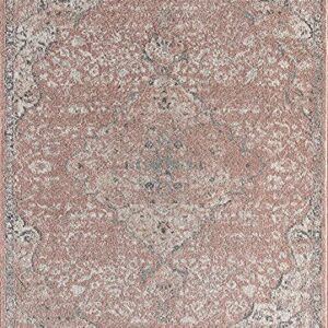 Rugs America Hailey Collection Vintage Transitional Area Rug - Ideal for Living Space, Living Room, Dining Room, Bedroom and Many More (6' Round, Pink Amaranth)