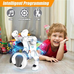 okk Robot Dog Toys for Kids, Remote Control Robot Toys, Interactive & Smart Programmable Walking Dancing RC Dog Robot, Rechargeable Electronic Pets Gifts for Boys Girls Age 6, 7, 8, 9, 10,11,12