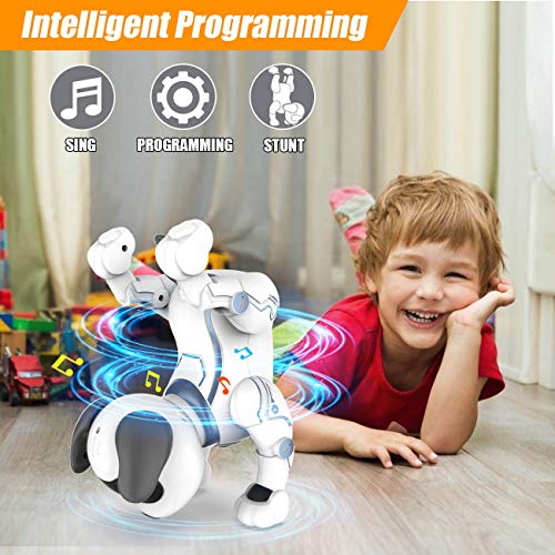 okk Robot Dog Toys for Kids, Remote Control Robot Toys, Interactive & Smart Programmable Walking Dancing RC Dog Robot, Rechargeable Electronic Pets Gifts for Boys Girls Age 6, 7, 8, 9, 10,11,12