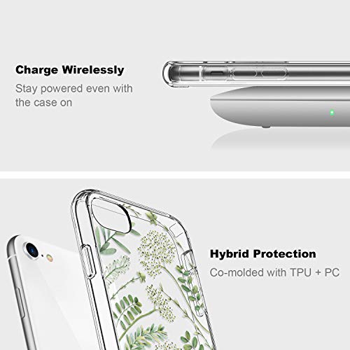 ICEDIO iPhone SE 2022 Case,iPhone SE 2020 Case,iPhone 8 Case,iPhone 7 Case with Screen Protector,Clear TPU Cover with Fashion Designs for Girls Women,Protective Phone Case Green Leaves Floral