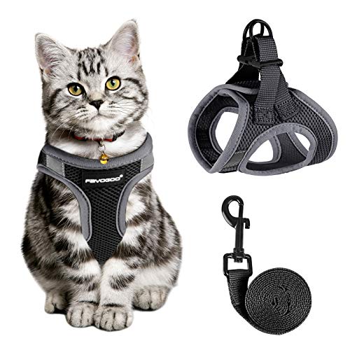 FAYOGOO Cat Harness and Leash for Walking Escape Proof, Adjustable Cat Leash and Harness Set, Lifetime Replacement, Lightweight Kitten Harness, Easy Control Breathable Cat Vest with Reflective Strip