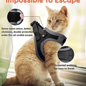 FAYOGOO Cat Harness and Leash for Walking Escape Proof, Adjustable Cat Leash and Harness Set, Lifetime Replacement, Lightweight Kitten Harness, Easy Control Breathable Cat Vest with Reflective Strip