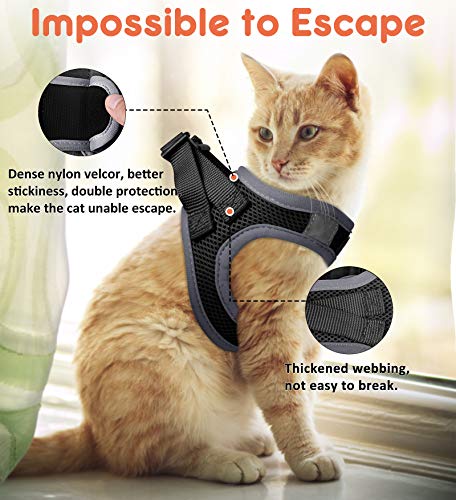 FAYOGOO Cat Harness and Leash for Walking Escape Proof, Adjustable Cat Leash and Harness Set, Lifetime Replacement, Lightweight Kitten Harness, Easy Control Breathable Cat Vest with Reflective Strip